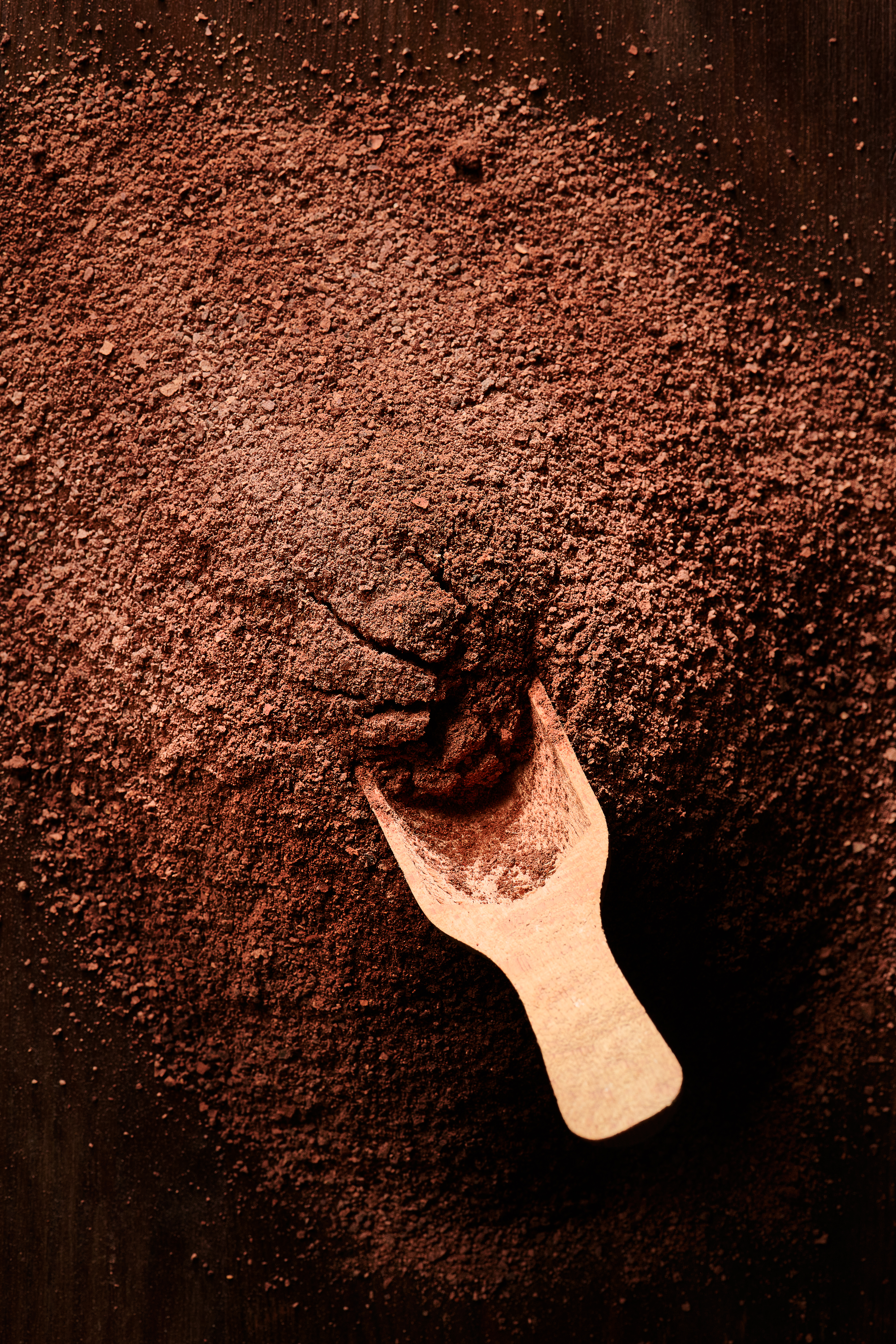 Cacao en poudre de République dominicaine