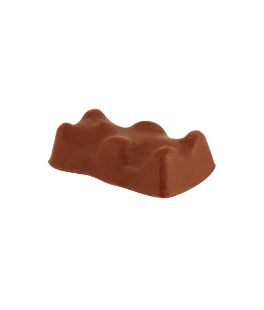 Oursons de guimauve enrobés de chocolat belge
